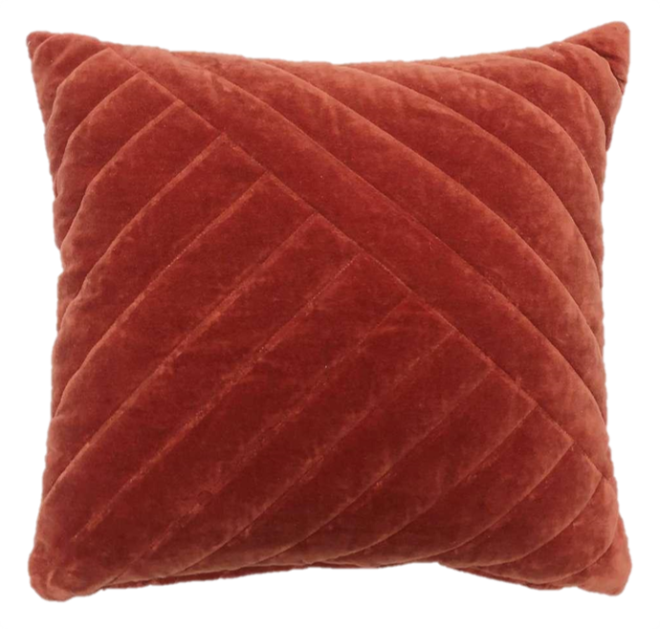 Velvet Cushion